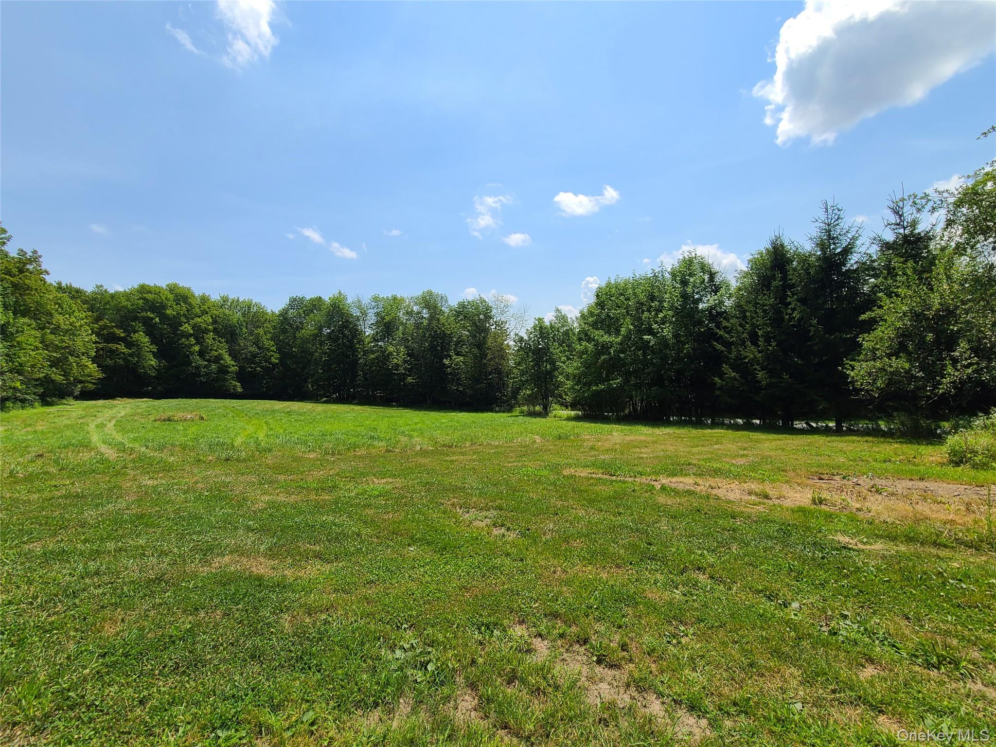 Stump Pond Road Livingston Manor, NY 12758 - Photo 6 of 8 a view of a green yard