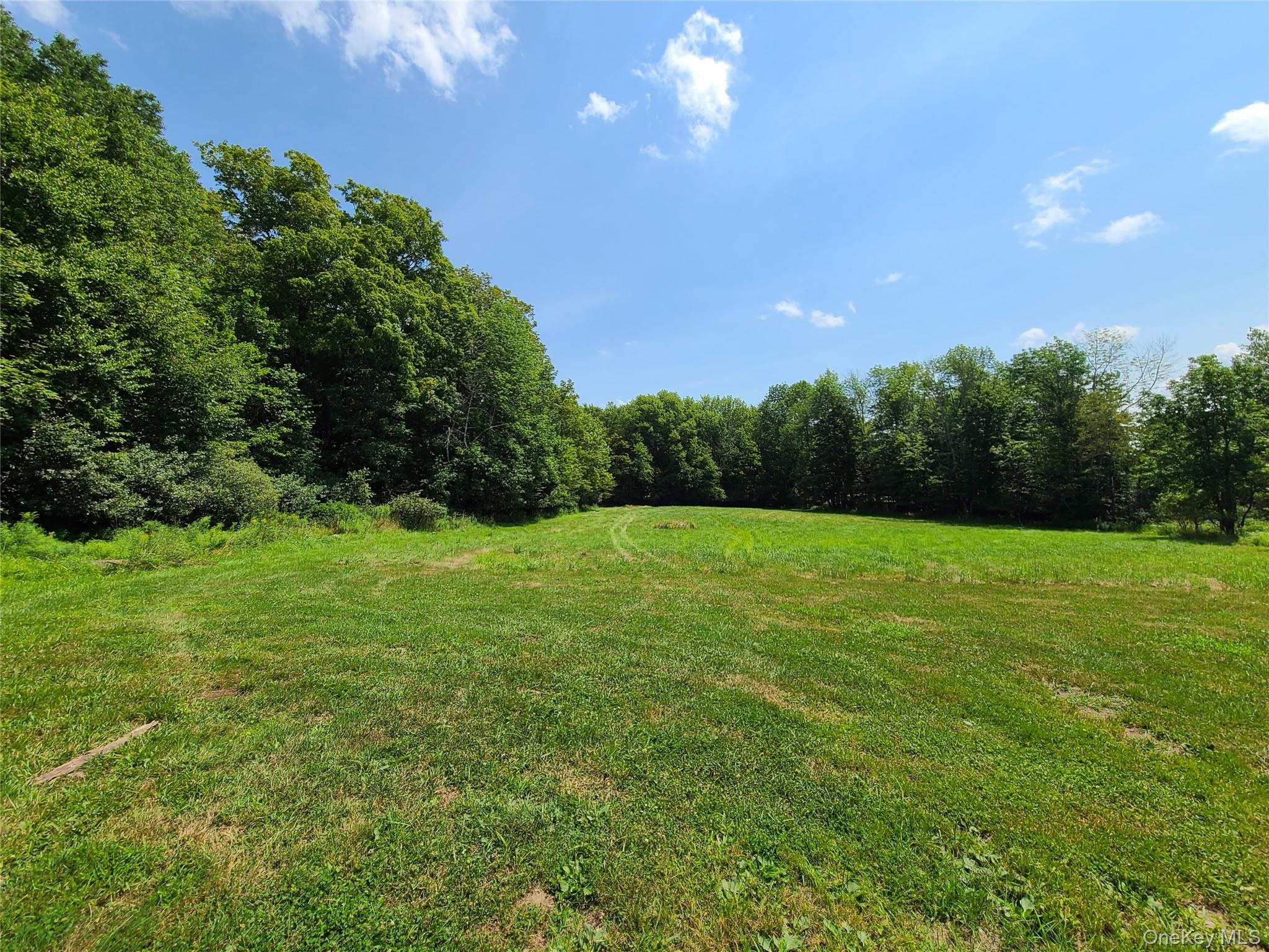 Stump Pond Road Livingston Manor, NY 12758 - Photo 7 of 8 a view of an outdoor space and yard