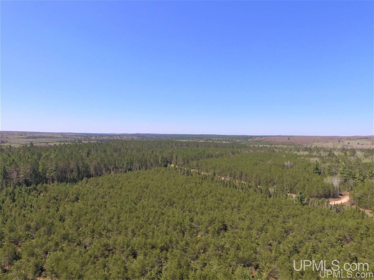 Tbd Forest Hwy 16 Road Iron River, MI 49935 - Photo 12 of 49