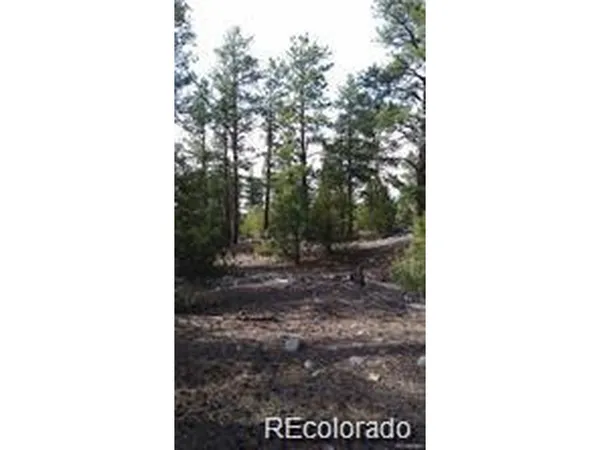 $13,900 | 13 Costilla Boulevard, Mosca, CO 81146