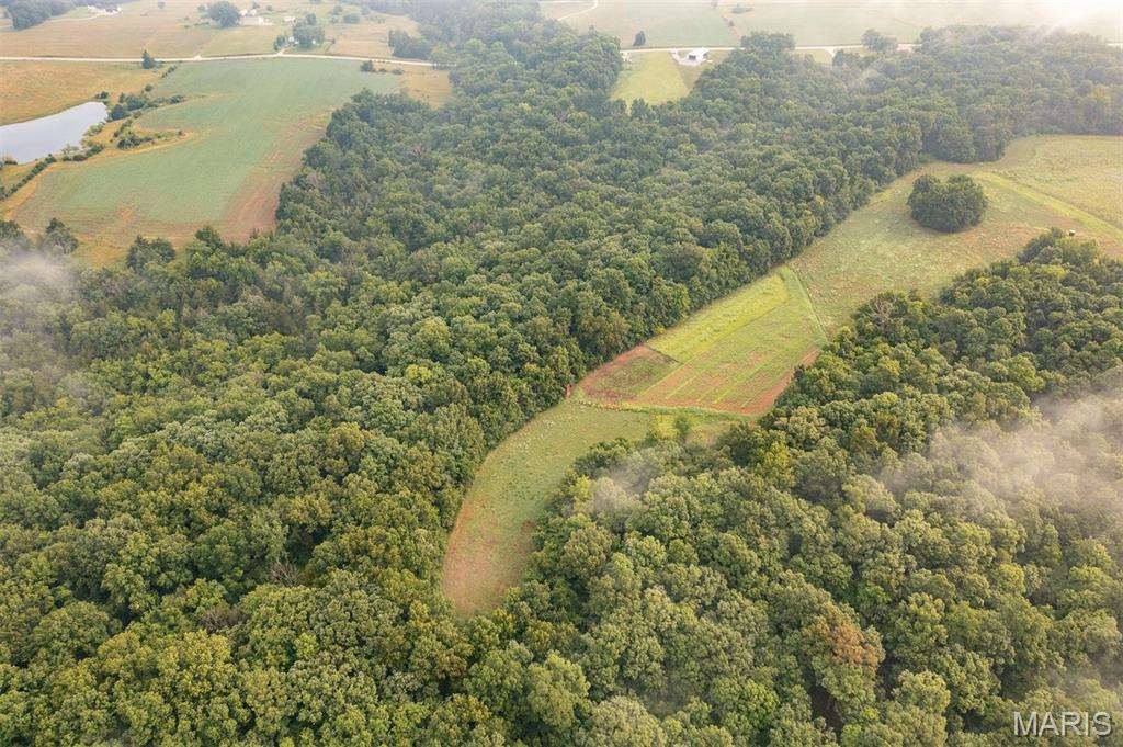 0 Cuivre Ford Road Troy, MO 63379 - Photo 26 of 35