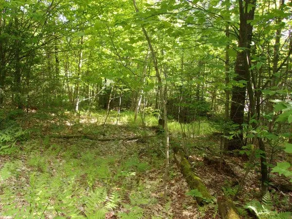 $22,500 | Lincoln Way, Unit 89, Woodsville, NH 03785