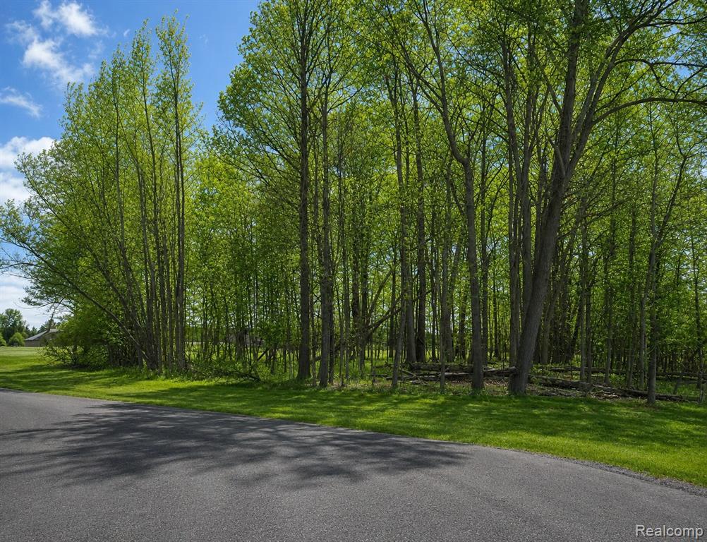 4171 Belle Ridge Drive Dryden, MI 48428 - Photo 3 of 22