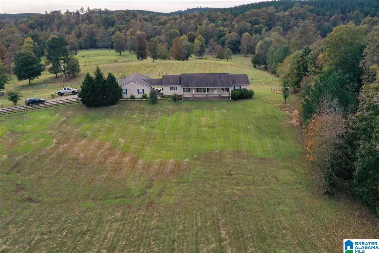 1614 Camp Branch Road West Blocton, AL 35184 - Photo 44 of 50