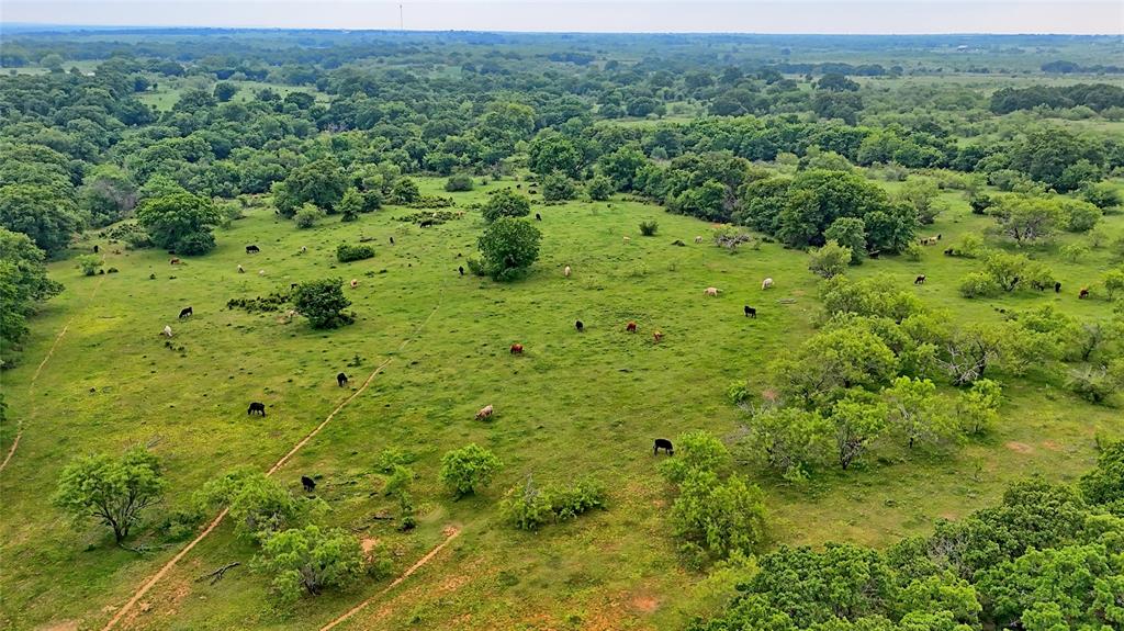 Tbd Tbd Cardwell Road Nocona, TX 76255 - Photo 16 of 30