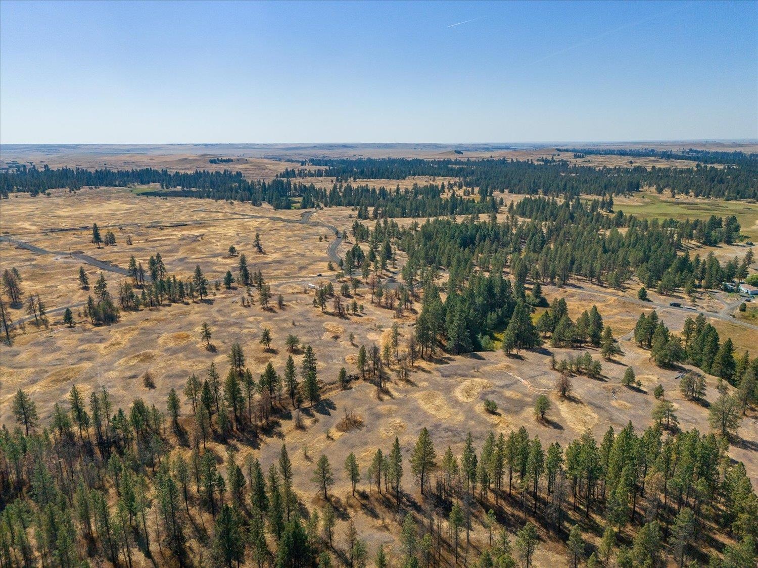 36377 South Bootstrap Lane Cheney, WA 99004 - Photo 8 of 10