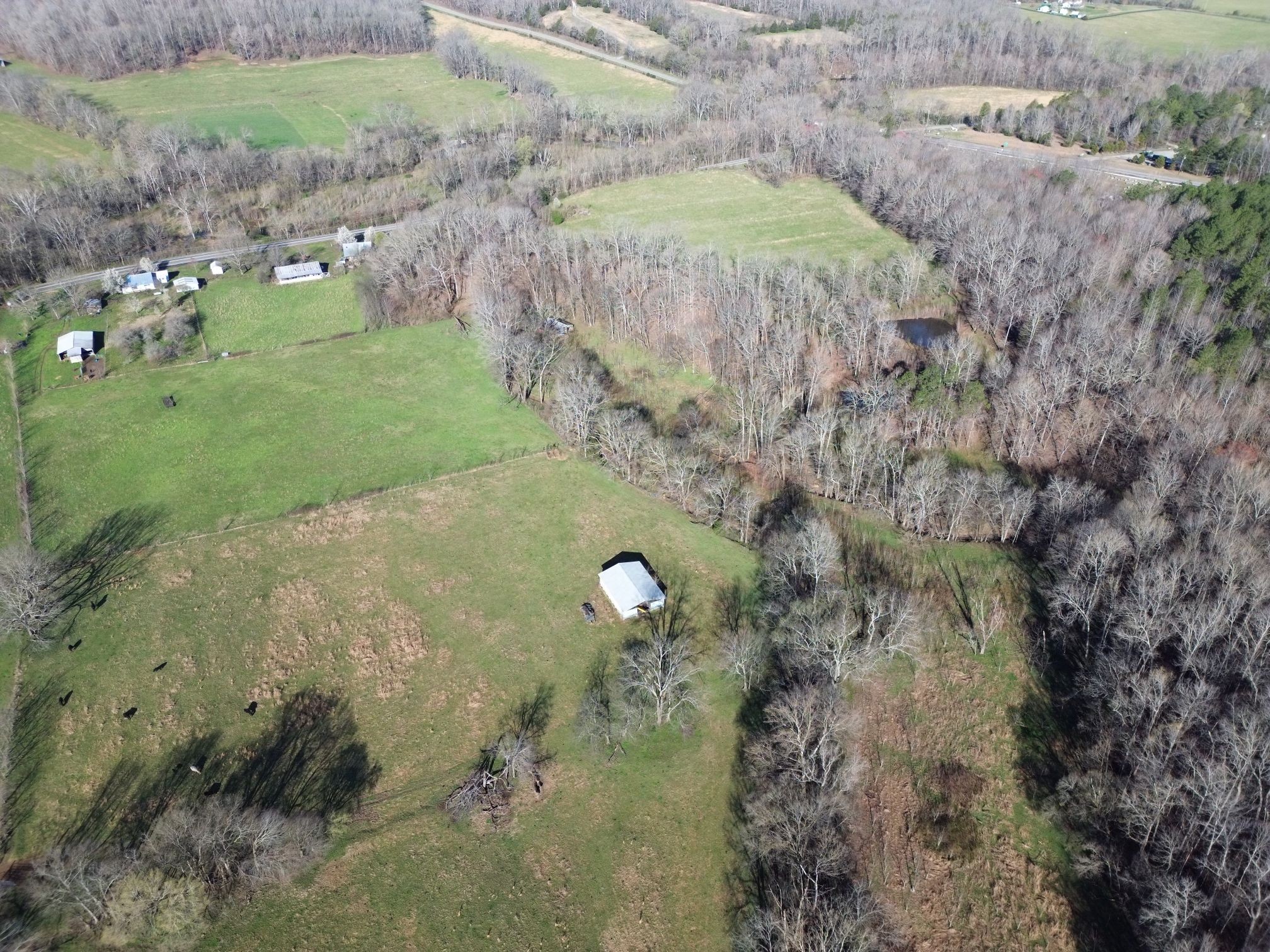 295 State Highway 48 Centerville, TN 37033 - Photo 14 of 80 a view of a garden