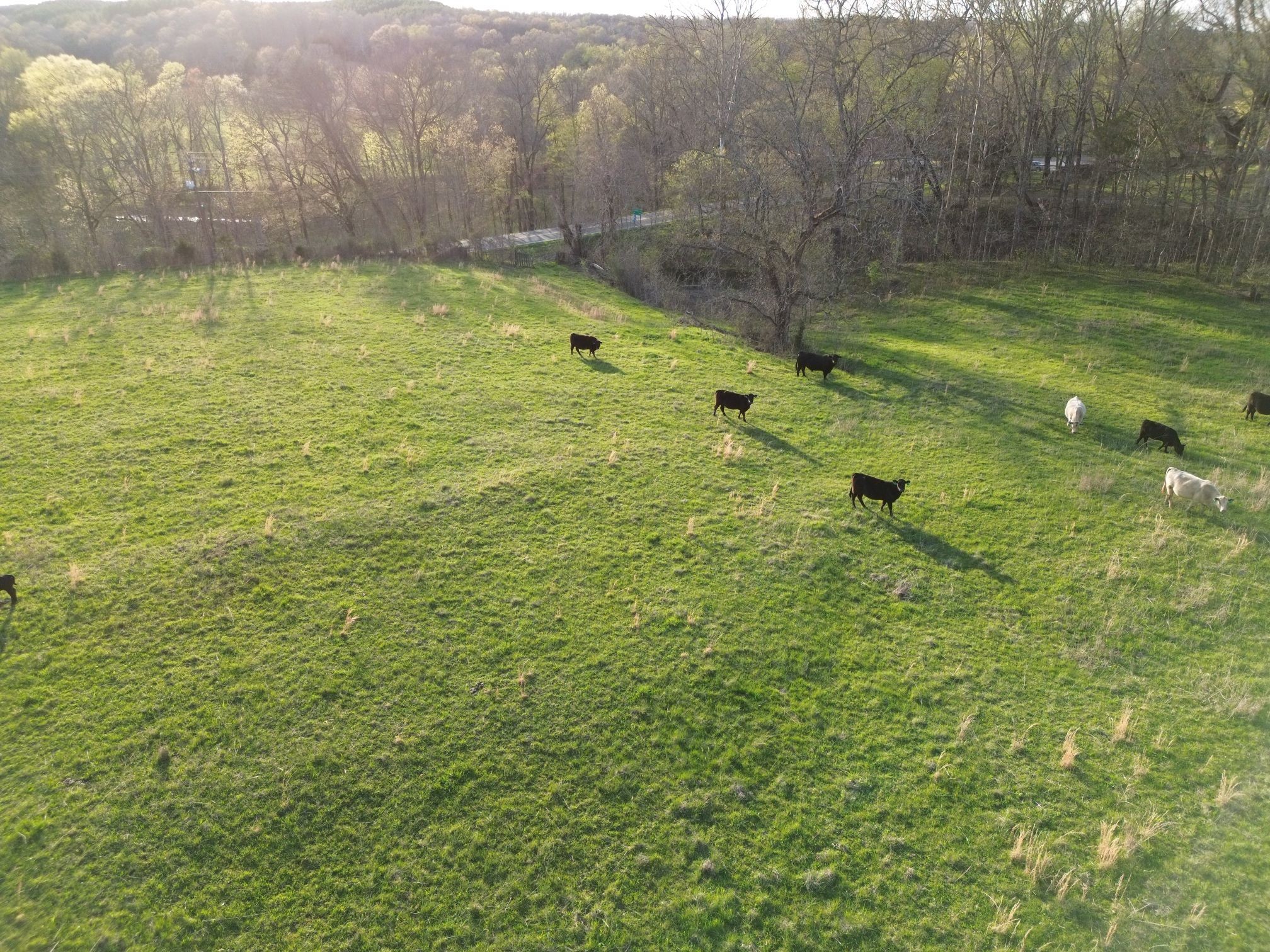 295 State Highway 48 Centerville, TN 37033 - Photo 16 of 80