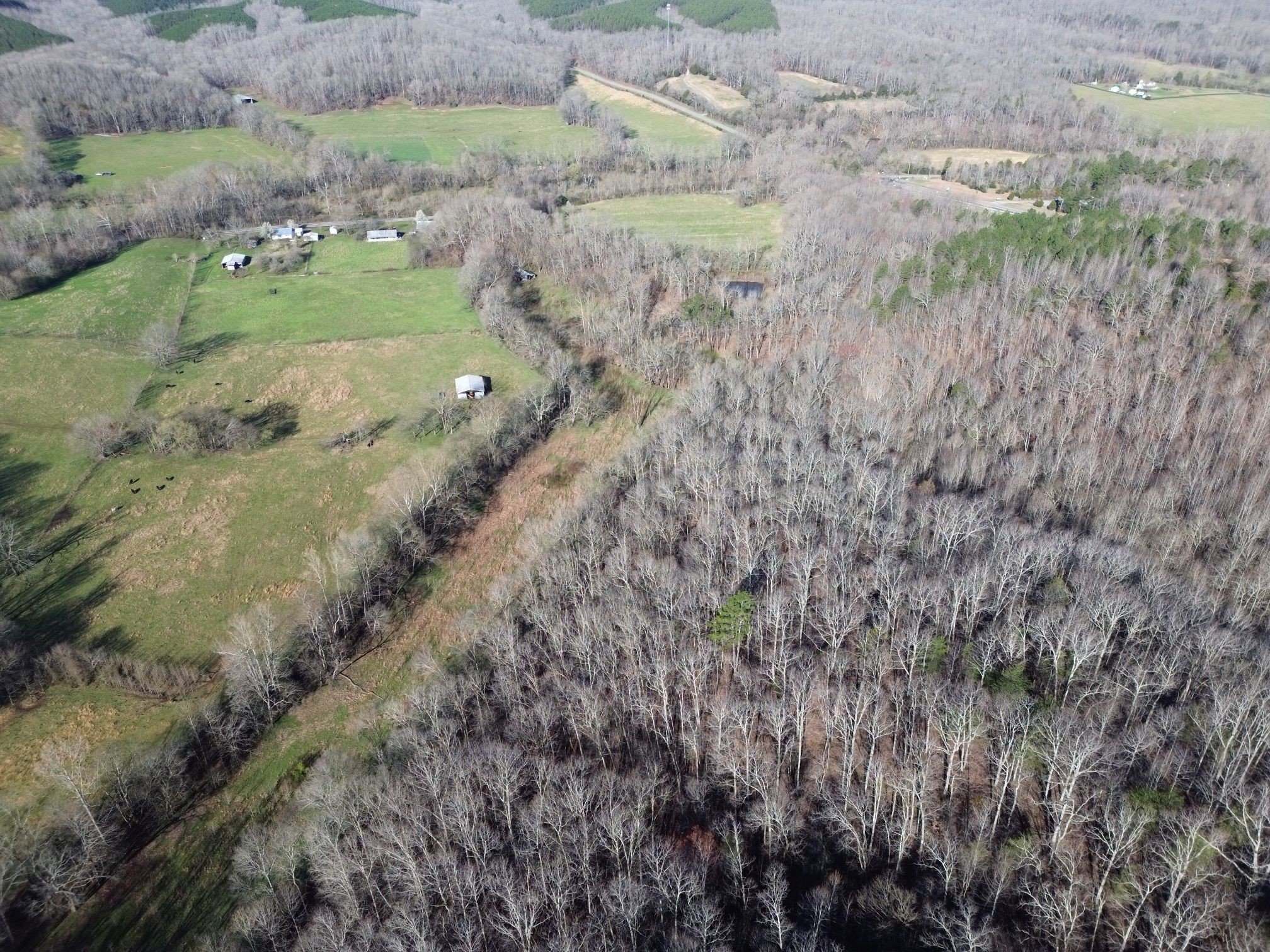 295 State Highway 48 Centerville, TN 37033 - Photo 17 of 80