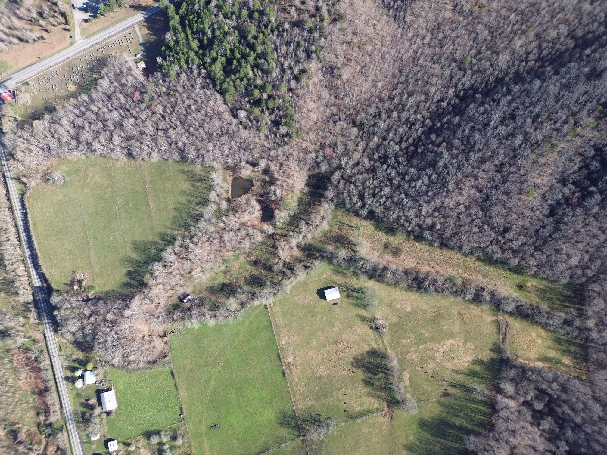 295 State Highway 48 Centerville, TN 37033 - Photo 20 of 80 a aerial view of a house with a yard