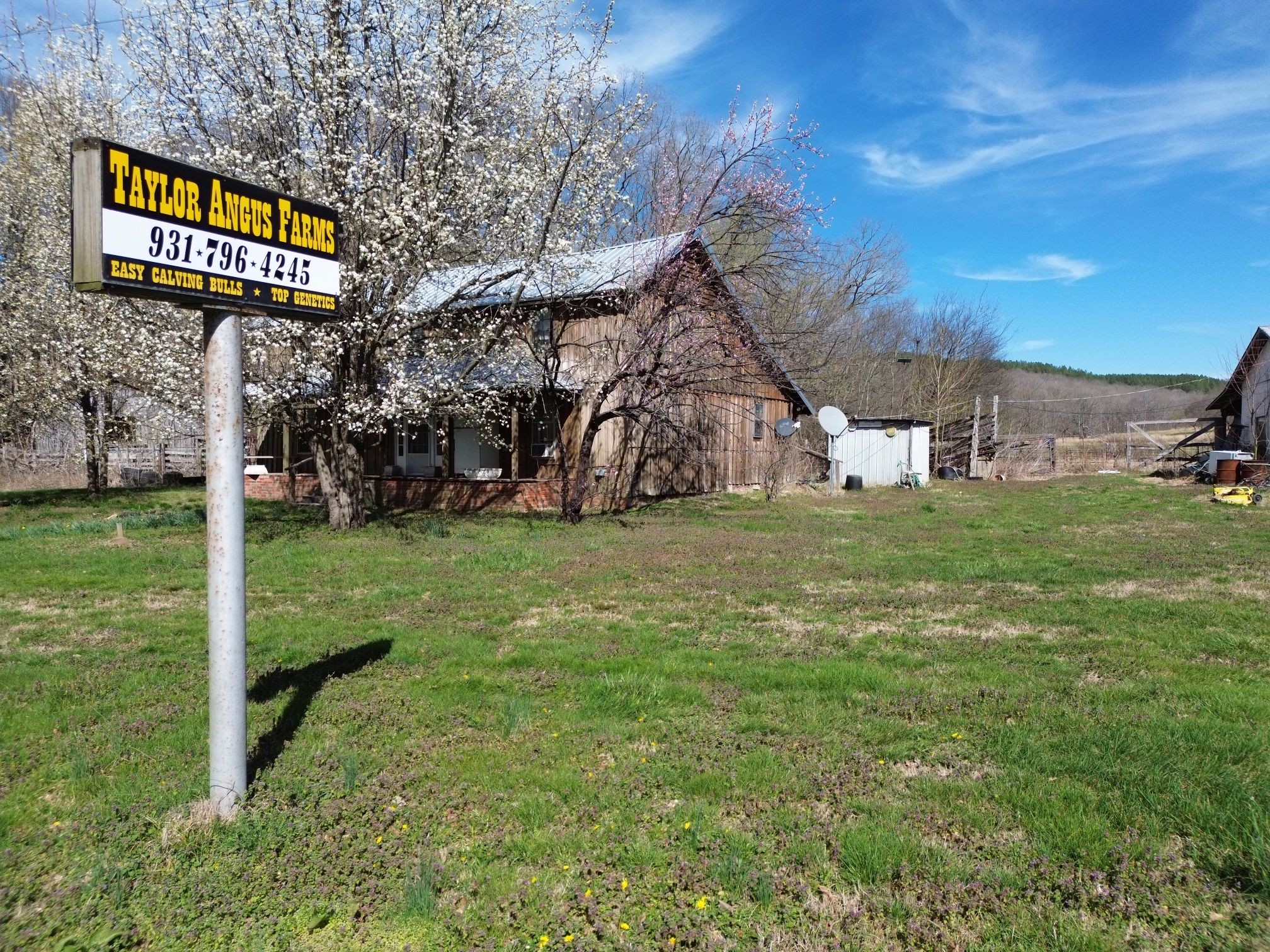 295 State Highway 48 Centerville, TN 37033 - Photo 2 of 80 a view of a park with large trees