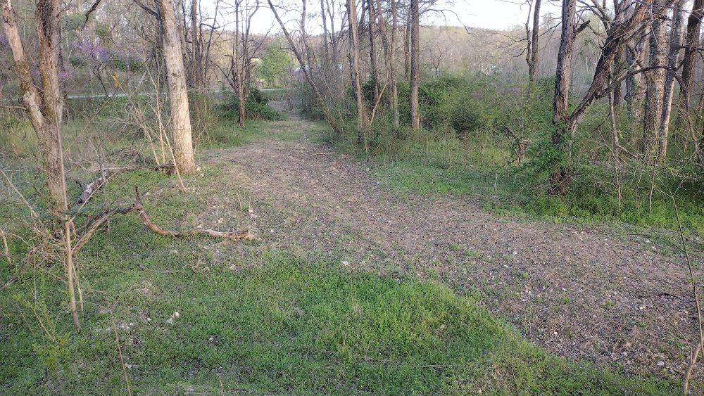 295 State Highway 48 Centerville, TN 37033 - Photo 24 of 80 a view of a forest with trees in the background