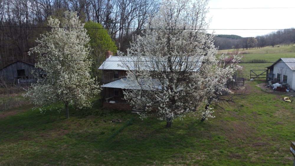 295 State Highway 48 Centerville, TN 37033 - Photo 25 of 80