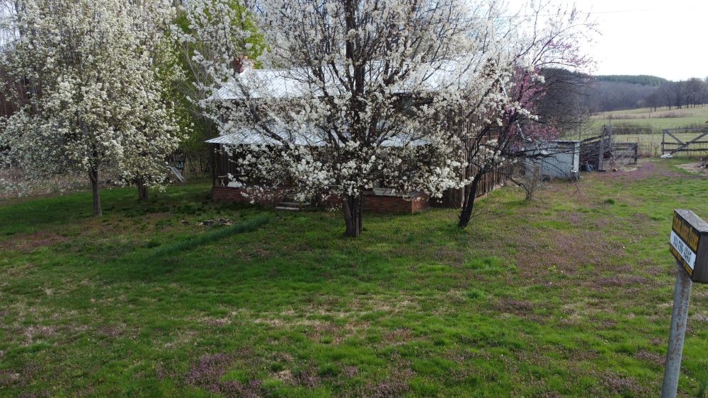 295 State Highway 48 Centerville, TN 37033 - Photo 26 of 80