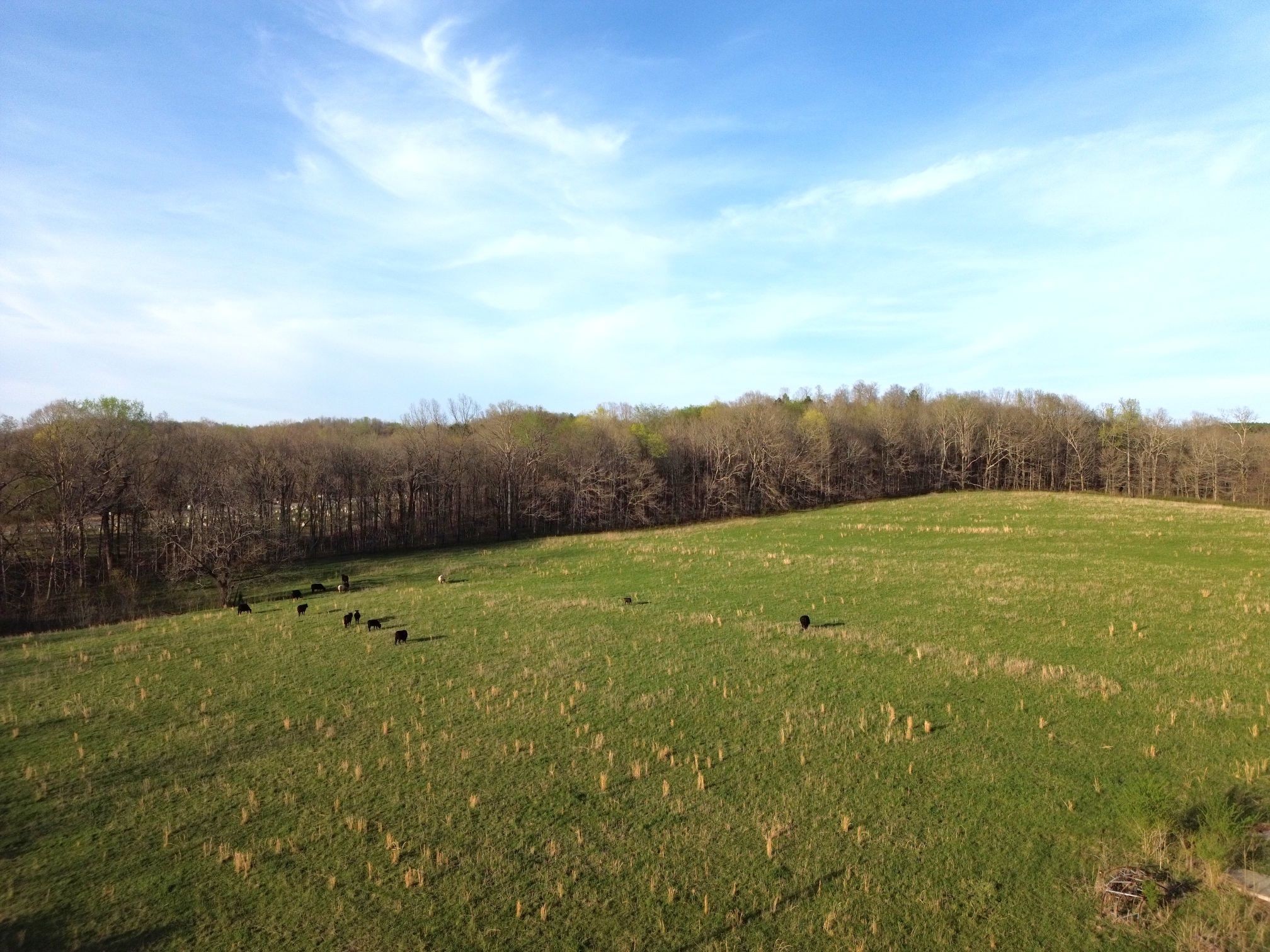 295 State Highway 48 Centerville, TN 37033 - Photo 3 of 80 a view of an outdoor space and a yard