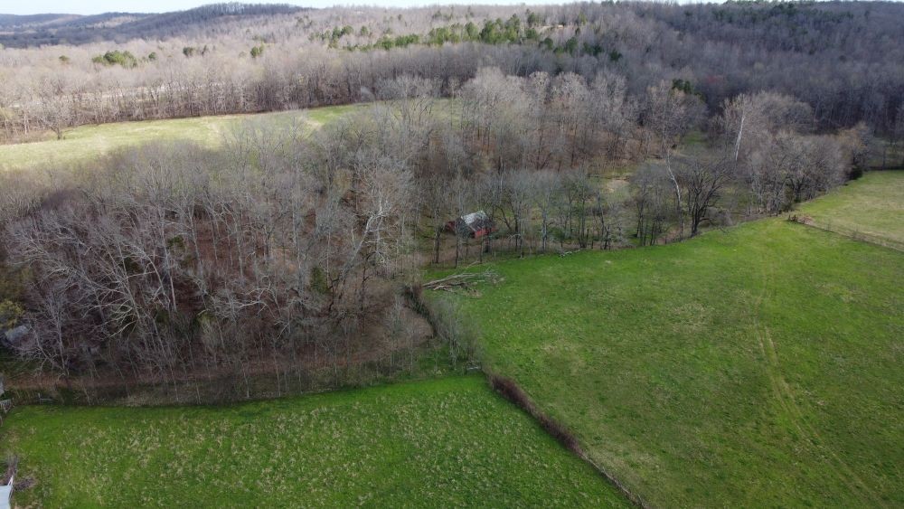 295 State Highway 48 Centerville, TN 37033 - Photo 31 of 80