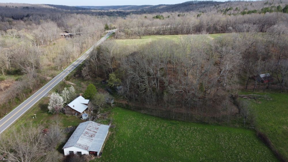 295 State Highway 48 Centerville, TN 37033 - Photo 32 of 80 a view of yard