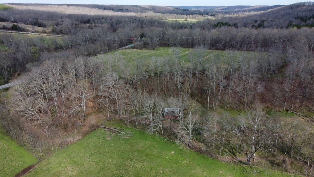 295 State Highway 48 Centerville, TN 37033 - Photo 34 of 80 a view of a backyard with green space