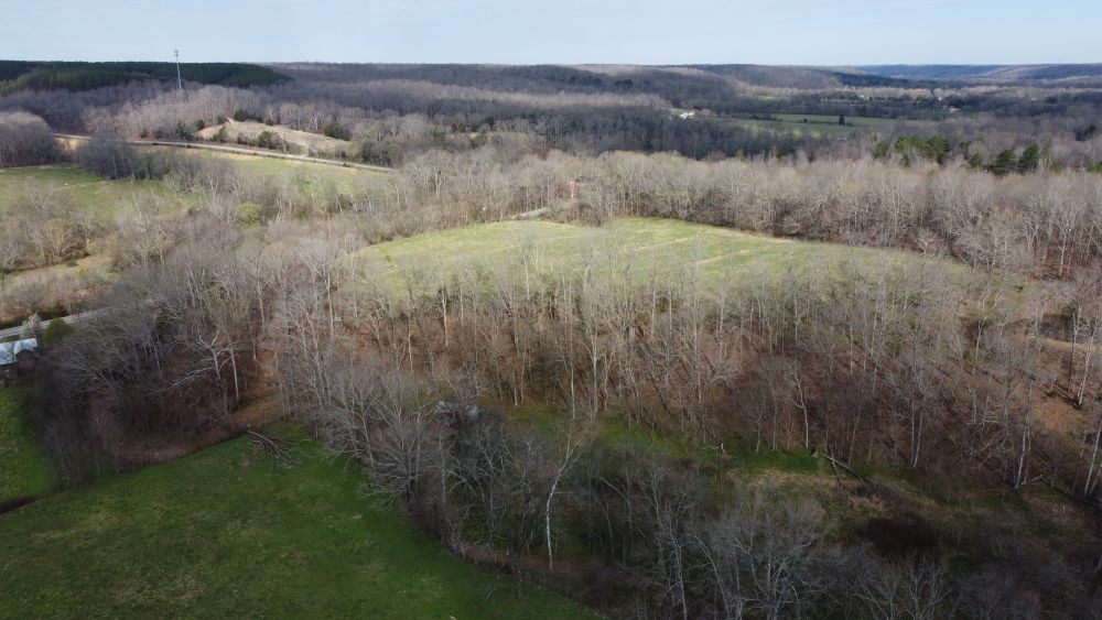 295 State Highway 48 Centerville, TN 37033 - Photo 38 of 80 a view of a lush green forest with a lake view and mountain view