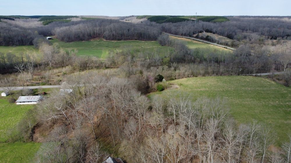 295 State Highway 48 Centerville, TN 37033 - Photo 40 of 80 a view of a lush green forest with lots of trees