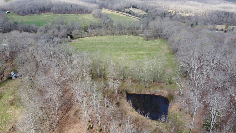 295 State Highway 48 Centerville, TN 37033 - Photo 42 of 80 a view of a dry yard