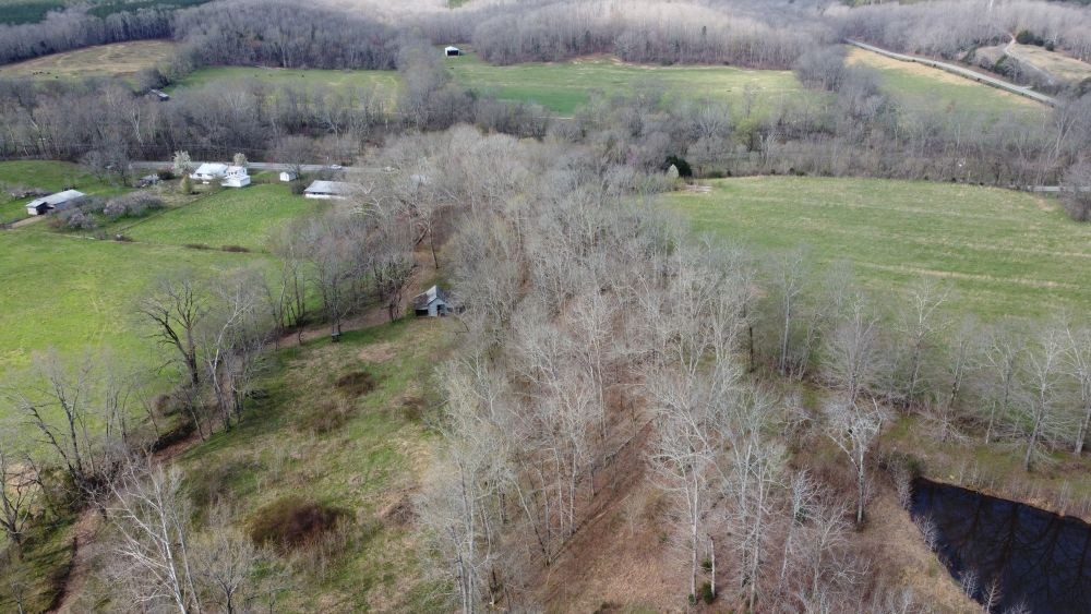295 State Highway 48 Centerville, TN 37033 - Photo 43 of 80 a view of a lush green forest with lots of trees