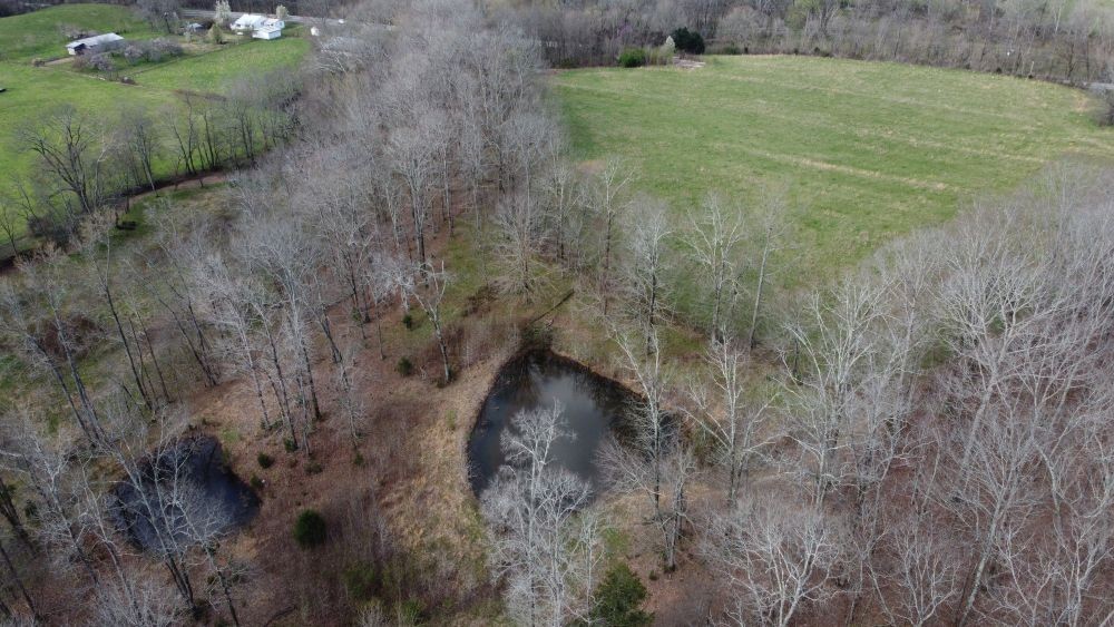 295 State Highway 48 Centerville, TN 37033 - Photo 44 of 80 a view of a dry yard