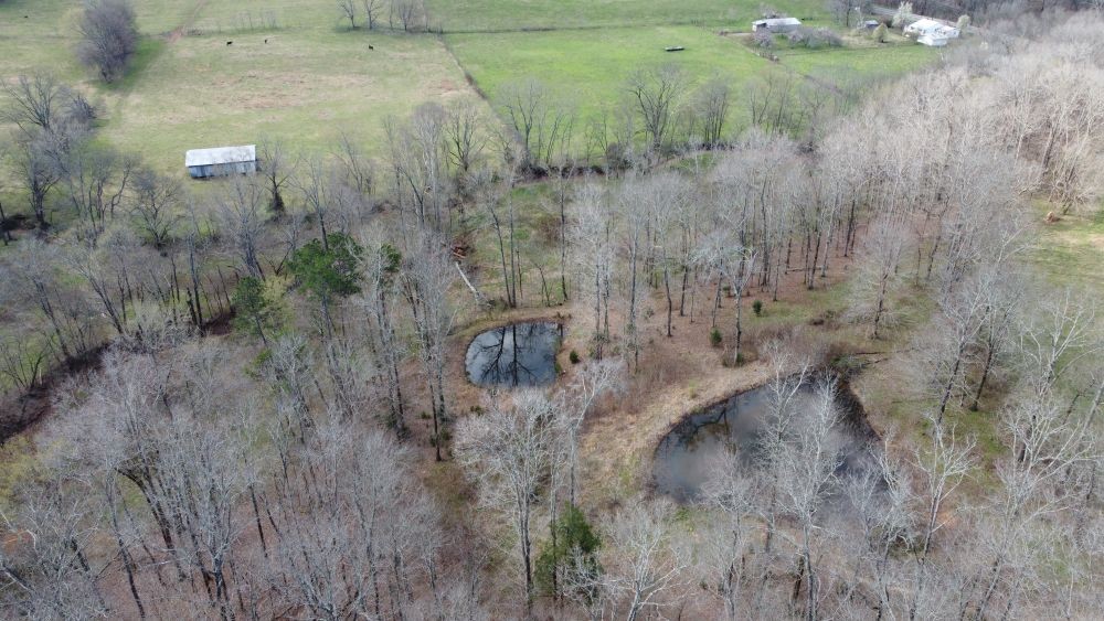 295 State Highway 48 Centerville, TN 37033 - Photo 45 of 80