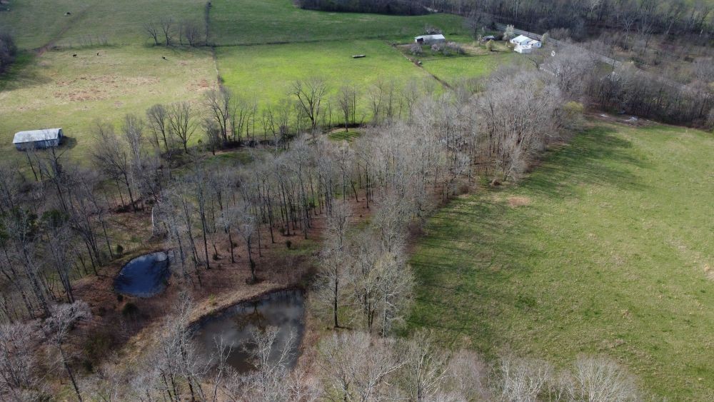 295 State Highway 48 Centerville, TN 37033 - Photo 46 of 80