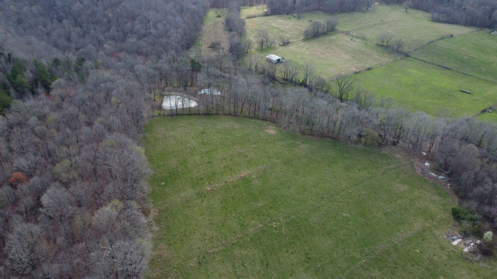 295 State Highway 48 Centerville, TN 37033 - Photo 49 of 80 a backyard of a house with lots of green space
