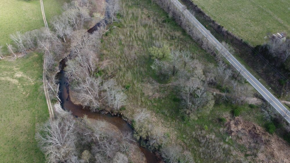 295 State Highway 48 Centerville, TN 37033 - Photo 60 of 80 a view of a forest with a trees