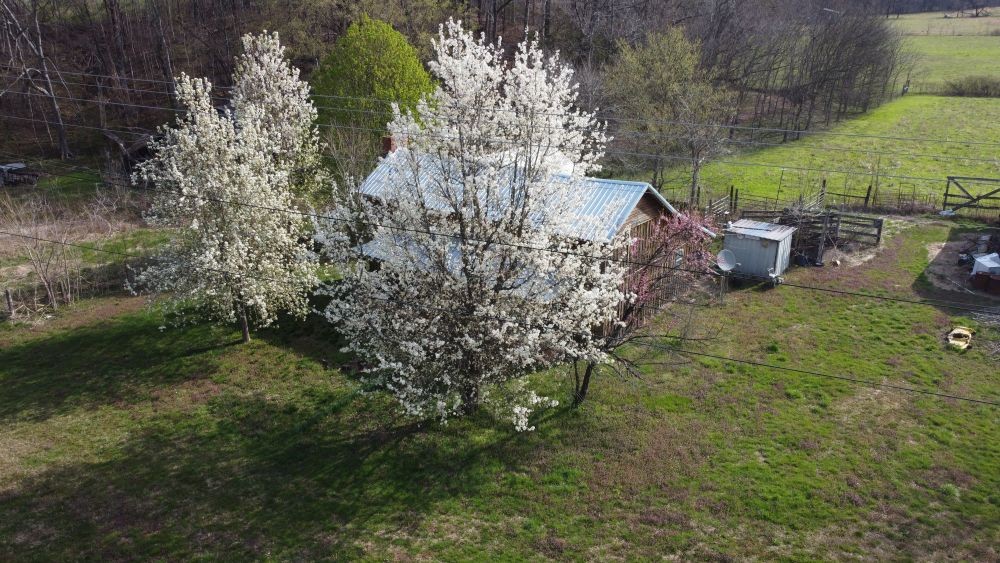 295 State Highway 48 Centerville, TN 37033 - Photo 69 of 80
