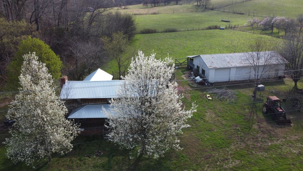 295 State Highway 48 Centerville, TN 37033 - Photo 71 of 80 a view of a yard in front of a house