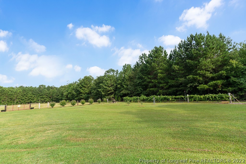 2026 Hayes Road Spring Lake, NC 28390 - Photo 6 of 39 Gallery Image 6