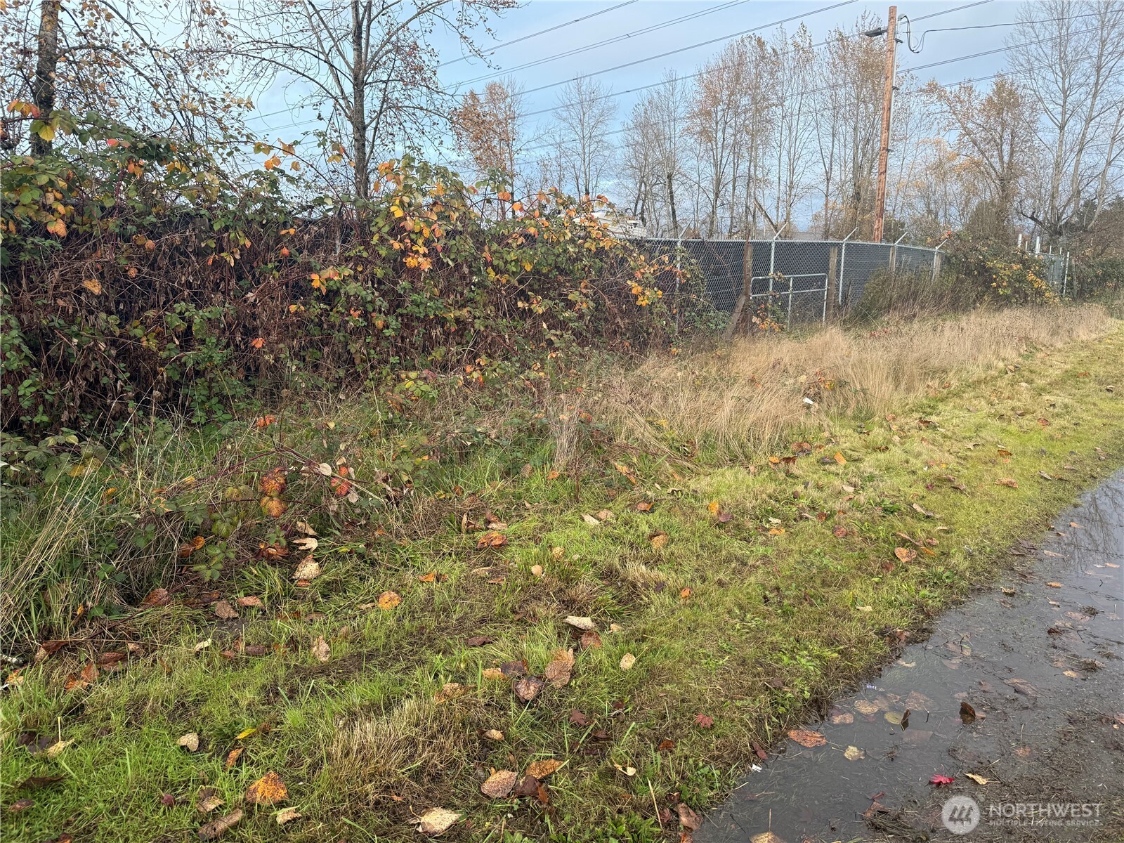 4427 Gay Road East Tacoma, WA 98443 - Photo 2 of 2