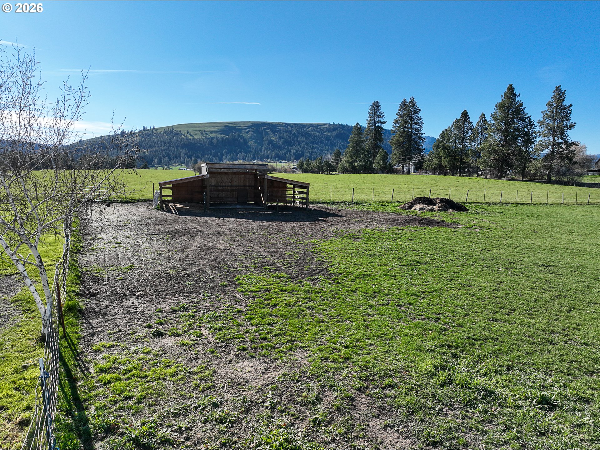1670 Palmer Street Elgin, OR 97827 - Photo 36 of 41 a view of a back yard