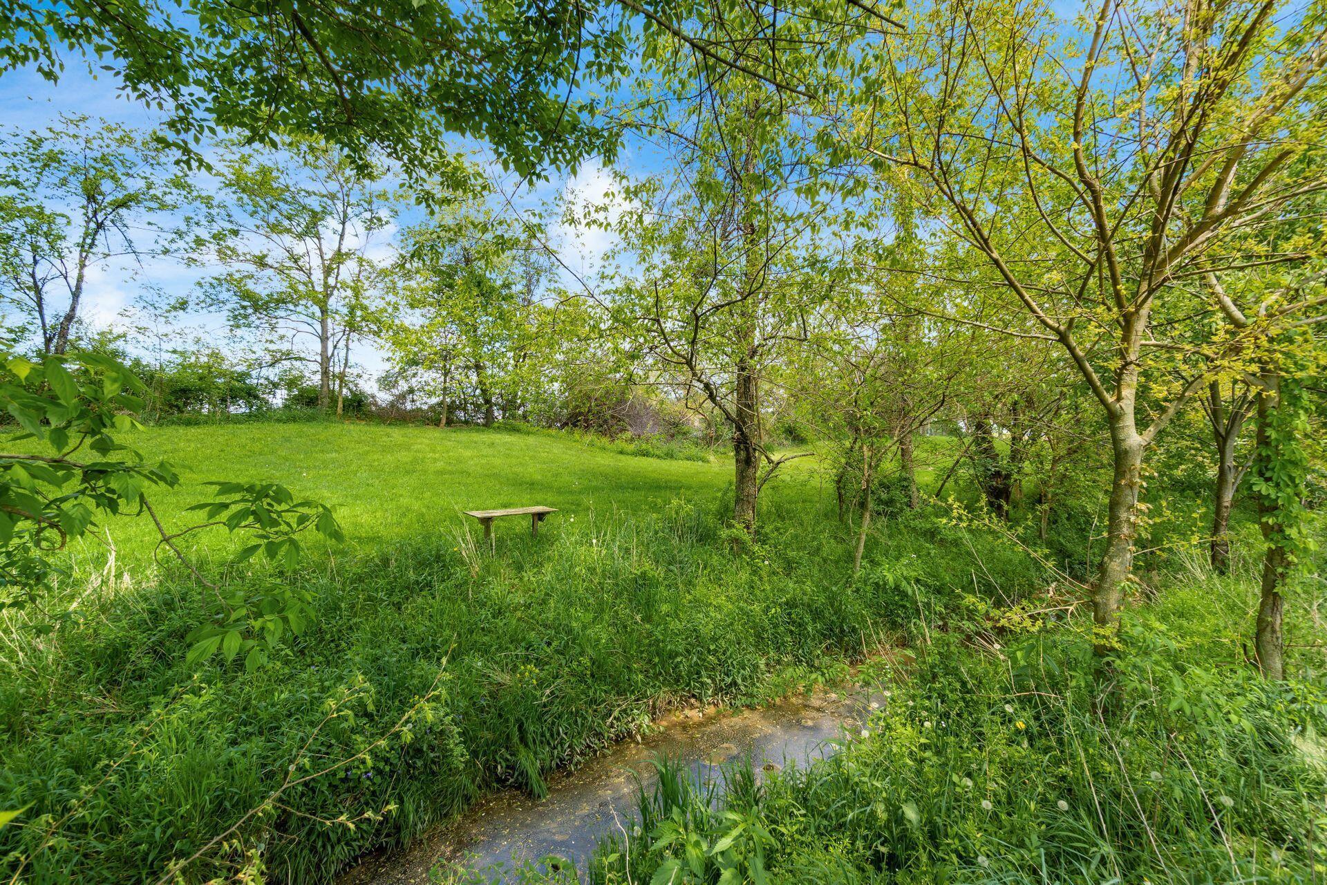 16635 Boston Road Sunbury, OH 43074 - Photo 53 of 58 back yard stream- 16635 Boston Rd - 178
