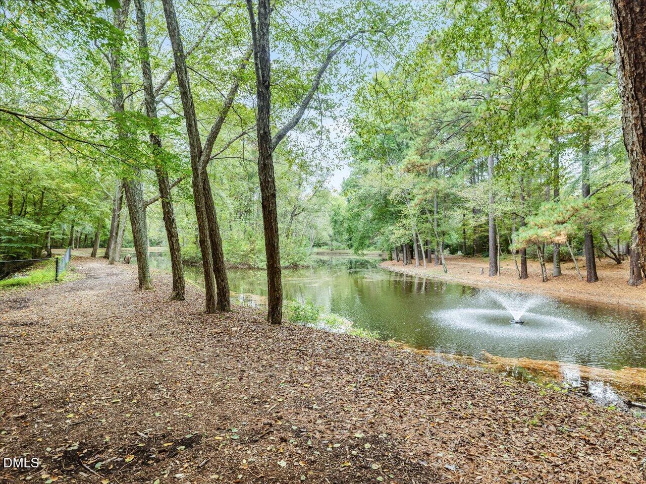 16 Pinnacle Road Durham, NC 27705 - Photo 30 of 31 63-Colony Hill Pond