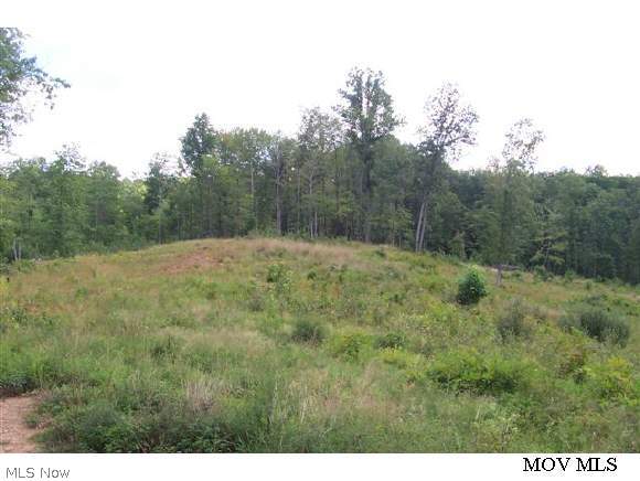 Lot 24 Tunnel Ridge Road Ellenboro, WV 26346 - Photo 1 of 1 Gallery Image 1