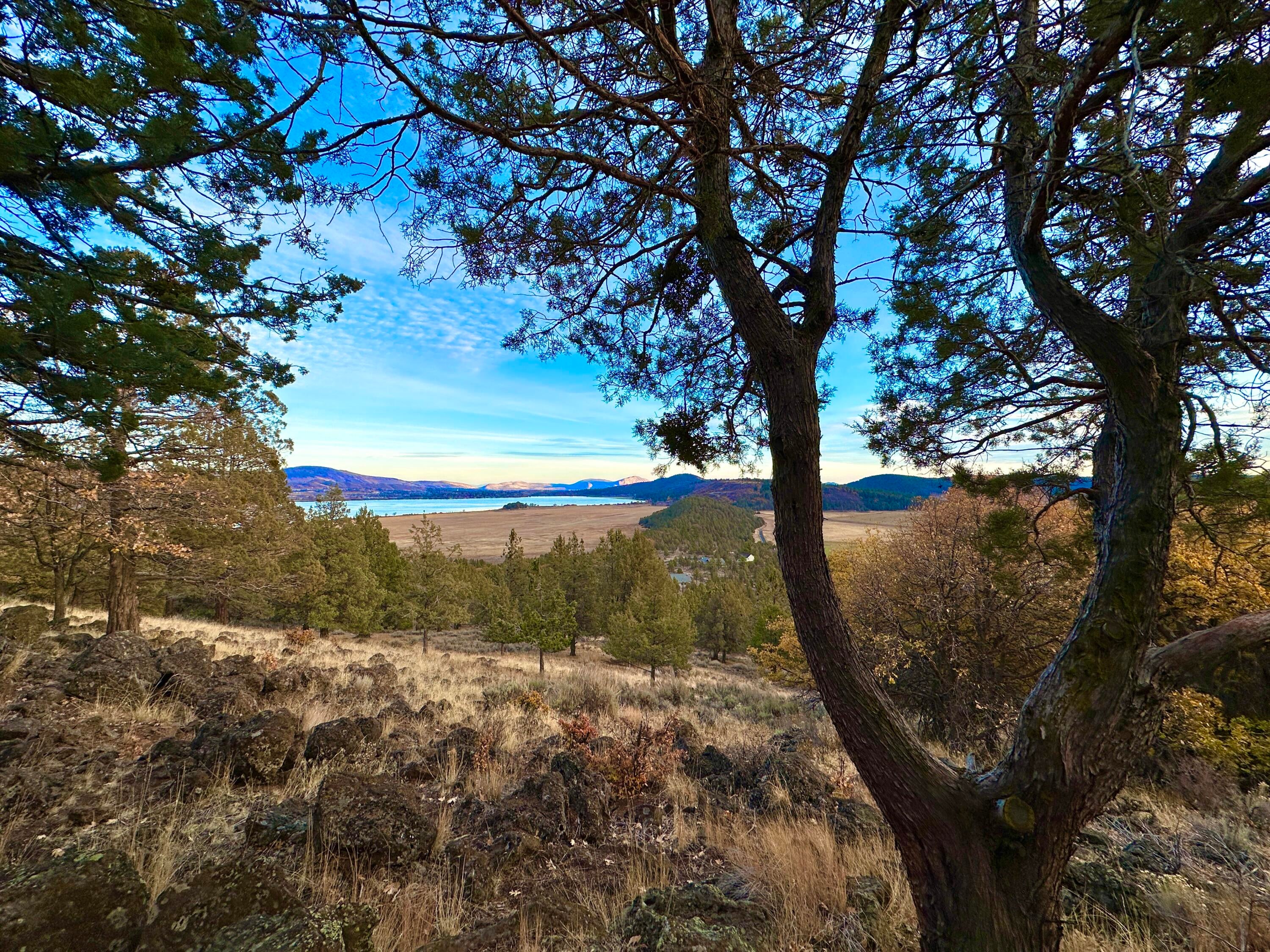 Coopers Hawk Road Klamath Falls, OR 97601 - Photo 2 of 19 IMG_6885