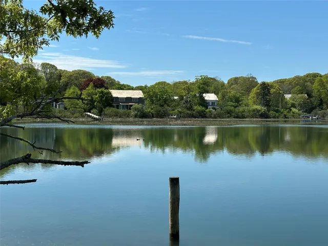 a view of a lake with houses in the back