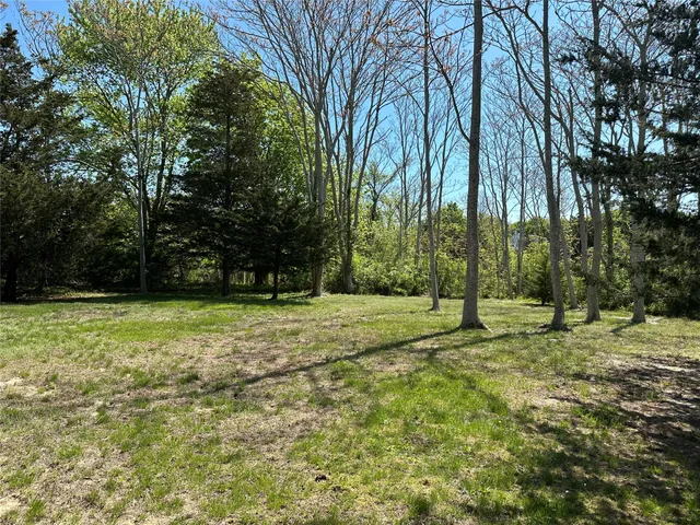 a view of a field with trees