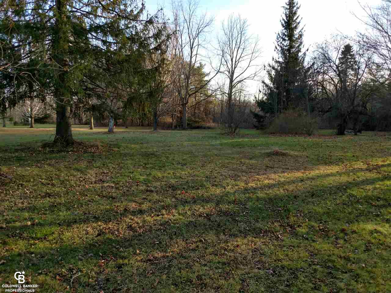 4815 Jeddo Road Fort Gratiot, MI 48059 - Photo 20 of 20 This is a view of the side yard.