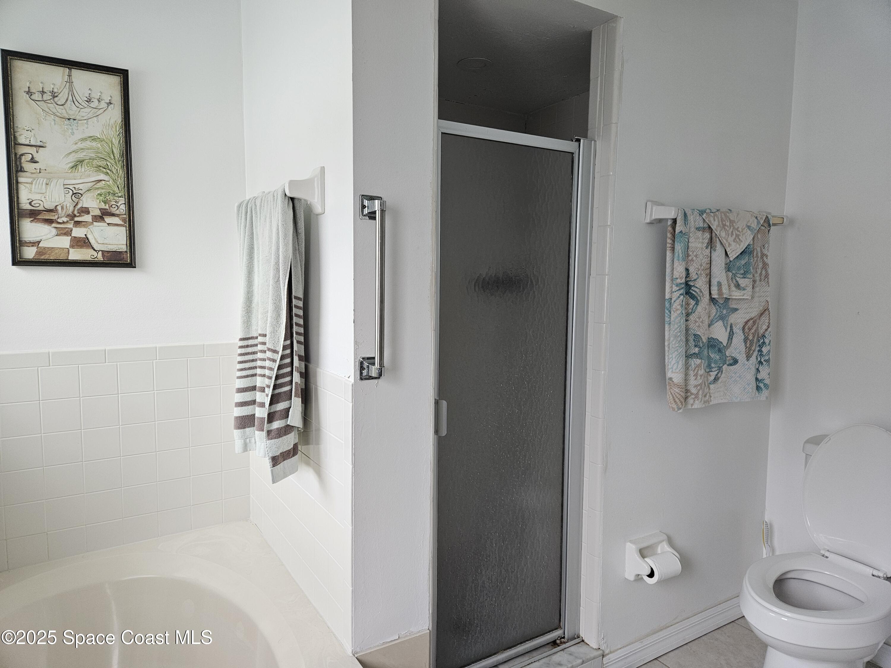 813 Pine Shadows Avenue Rockledge, FL 32955 - Photo 16 of 32 a bathroom with a shower and a toilet