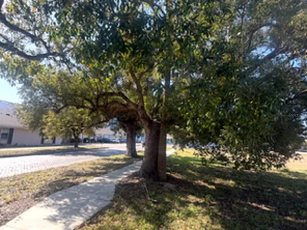 a view of road with tree