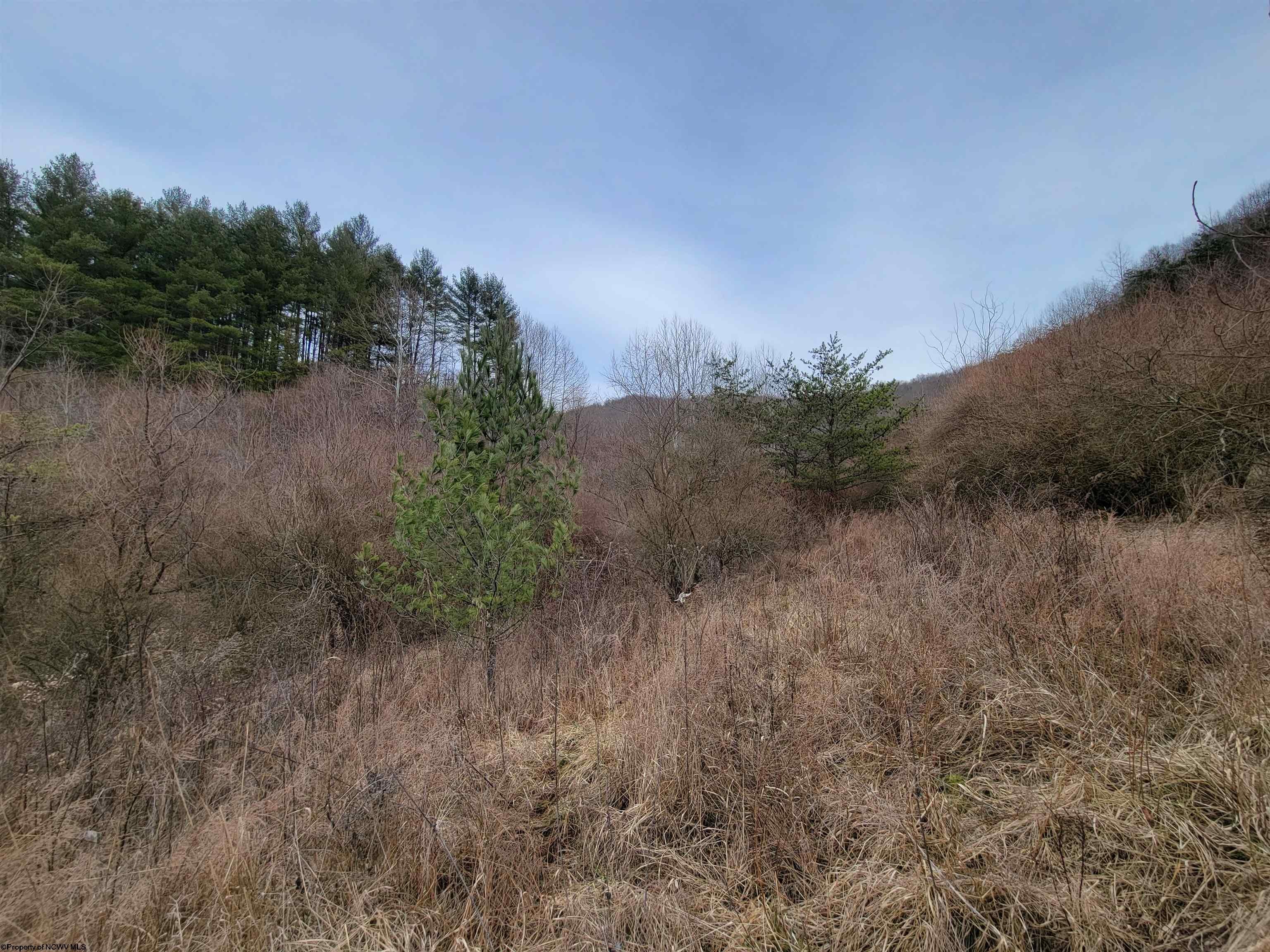 1857 Corley Caress Road Heaters, WV 26627 - Photo 15 of 24 Gallery Image 15