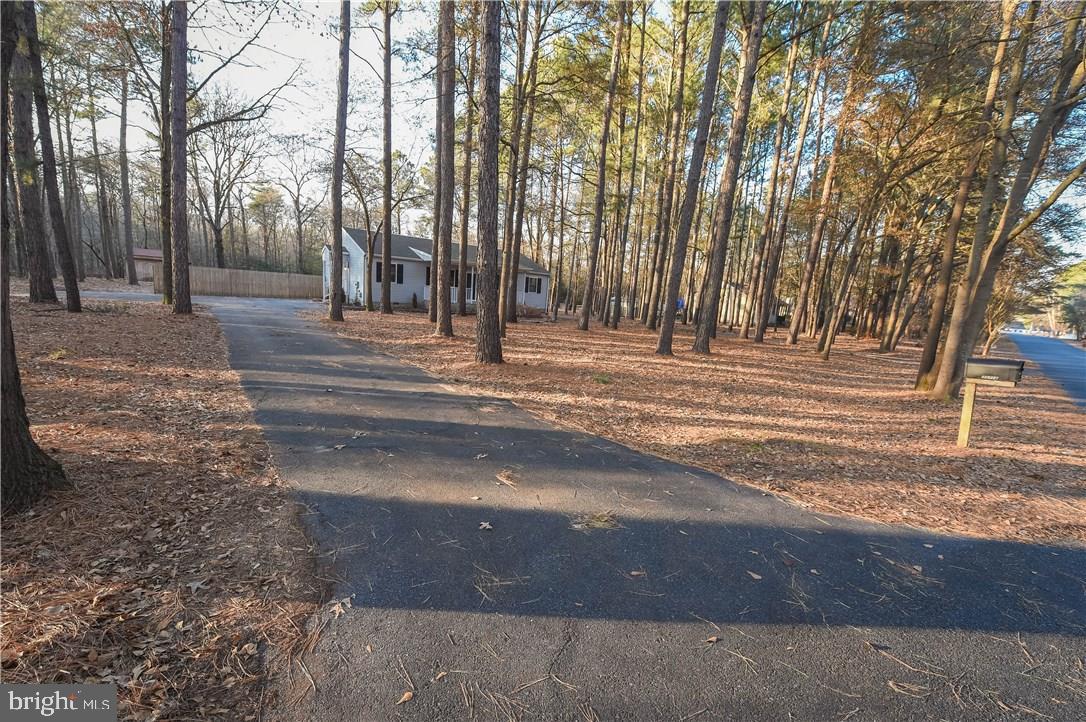 30708 River Road Laurel, DE 19956 - Photo 34 of 38 Gallery Image 34