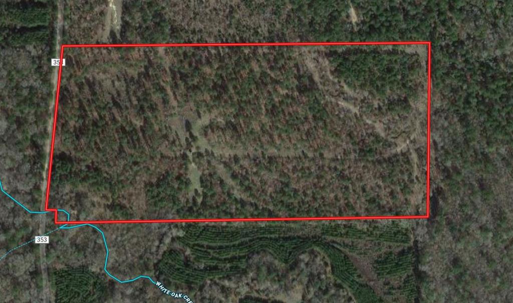 0 An County Road Palestine, TX 75801 - Photo 1 of 18