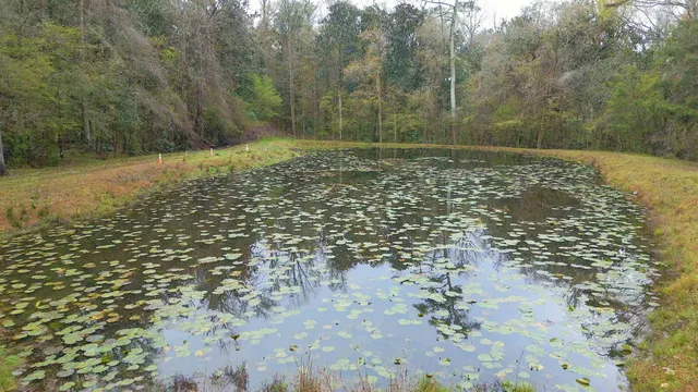 $1,500,000 | 26070 Blue Star Highway, Havana, FL 32333