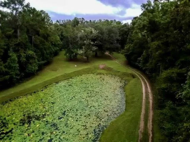 $1,500,000 | 26070 Blue Star Highway, Havana, FL 32333